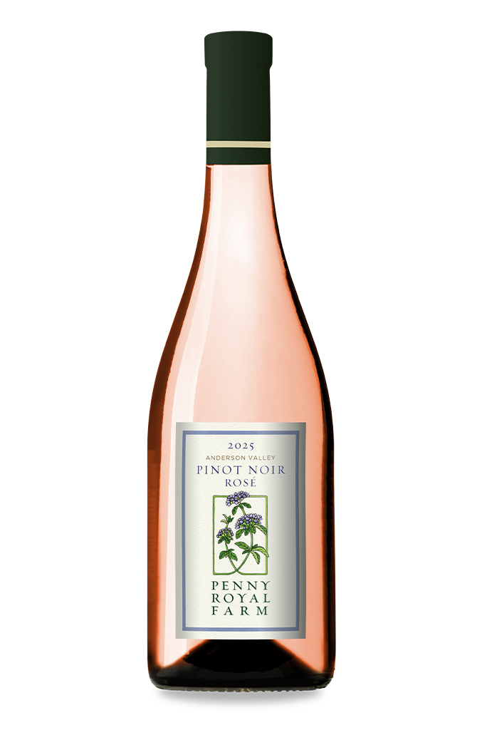 2025 Pinot Noir Rosé, Anderson Valley