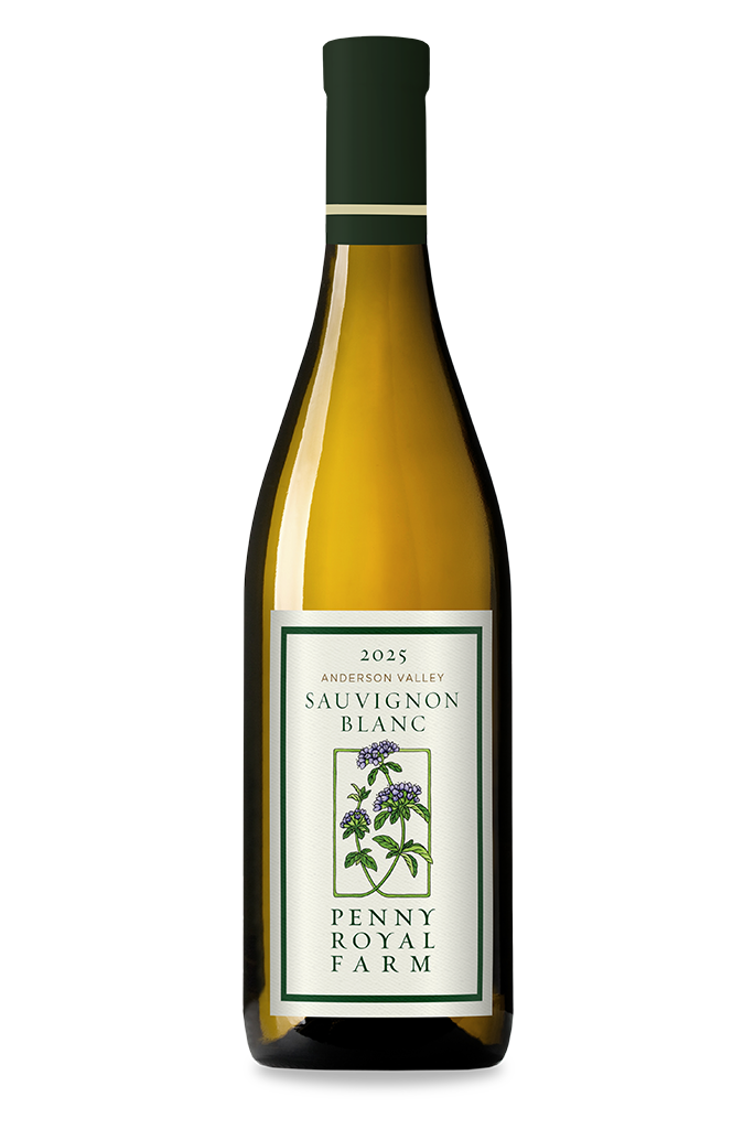 2025 Sauvignon Blanc, Anderson Valley
