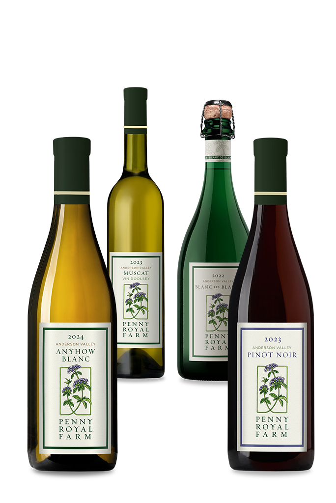 Dinner Party Wine Pack, Anyhow Blanc, Muscat Vin Doolsey, Blanc de Noir, Pinot Noir