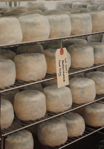 Bollie's Mollies, Surface Ripened Cheese, Pennyoyral Farm